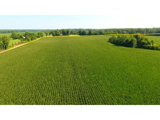 TRACT 10 - ILLINOIS LAND AUCTION - 4,810+/- ACRES OFFERED IN 85 TRACTS IN FRANKLIN, WILLIAMSON, HAMILTON & SALINE COUNTIES, ILLINOIS